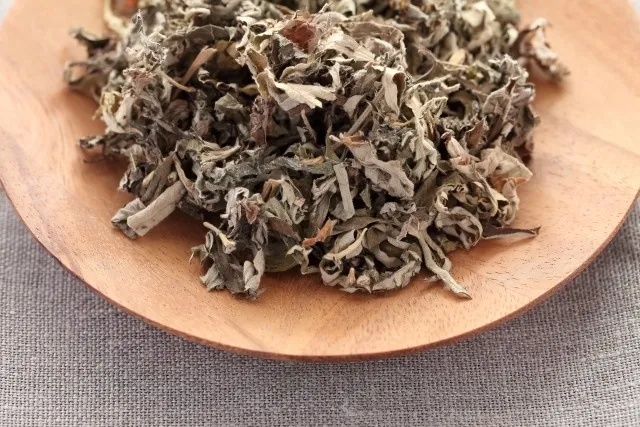 新メニューについて